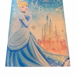 Disney Magnificent Beauty Canvas with Blue and White Gown